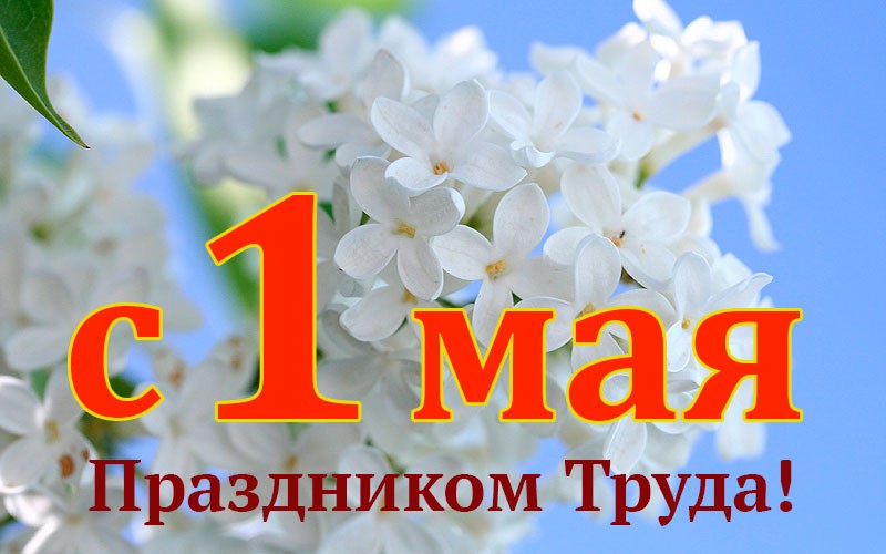 С праздником Весны и Труда!